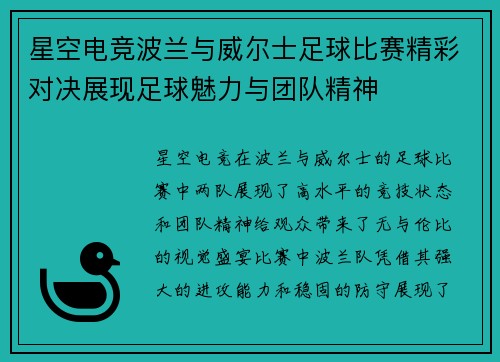 星空电竞波兰与威尔士足球比赛精彩对决展现足球魅力与团队精神